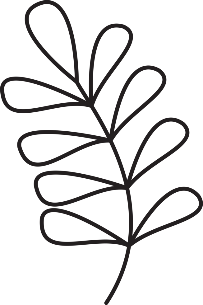 dibujo de hoja floral simple png