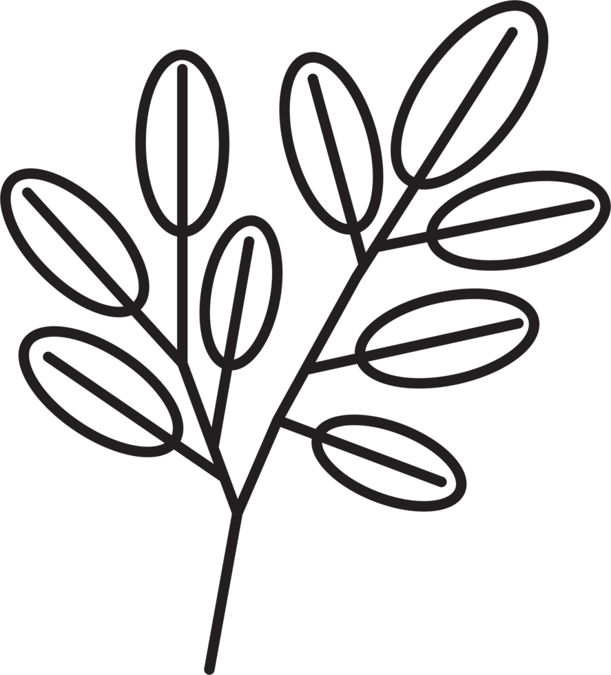 simplicity floral leaf drawing png