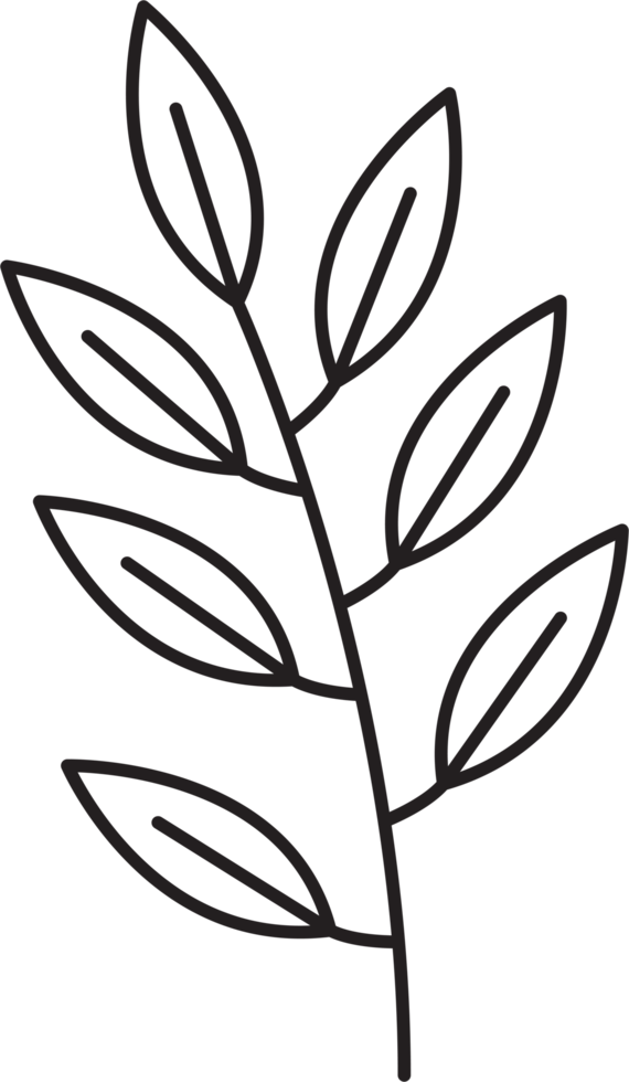 simplicity floral leaf drawing png