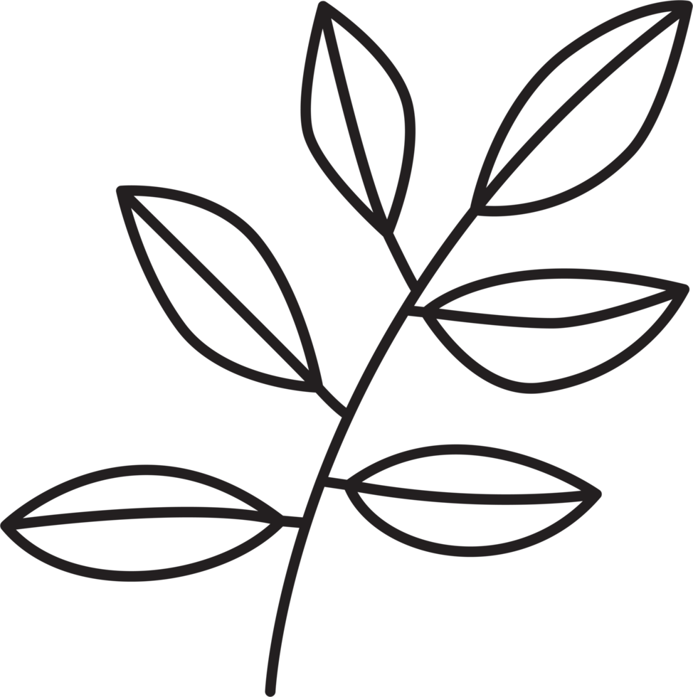 eenvoud bloemen blad tekening png