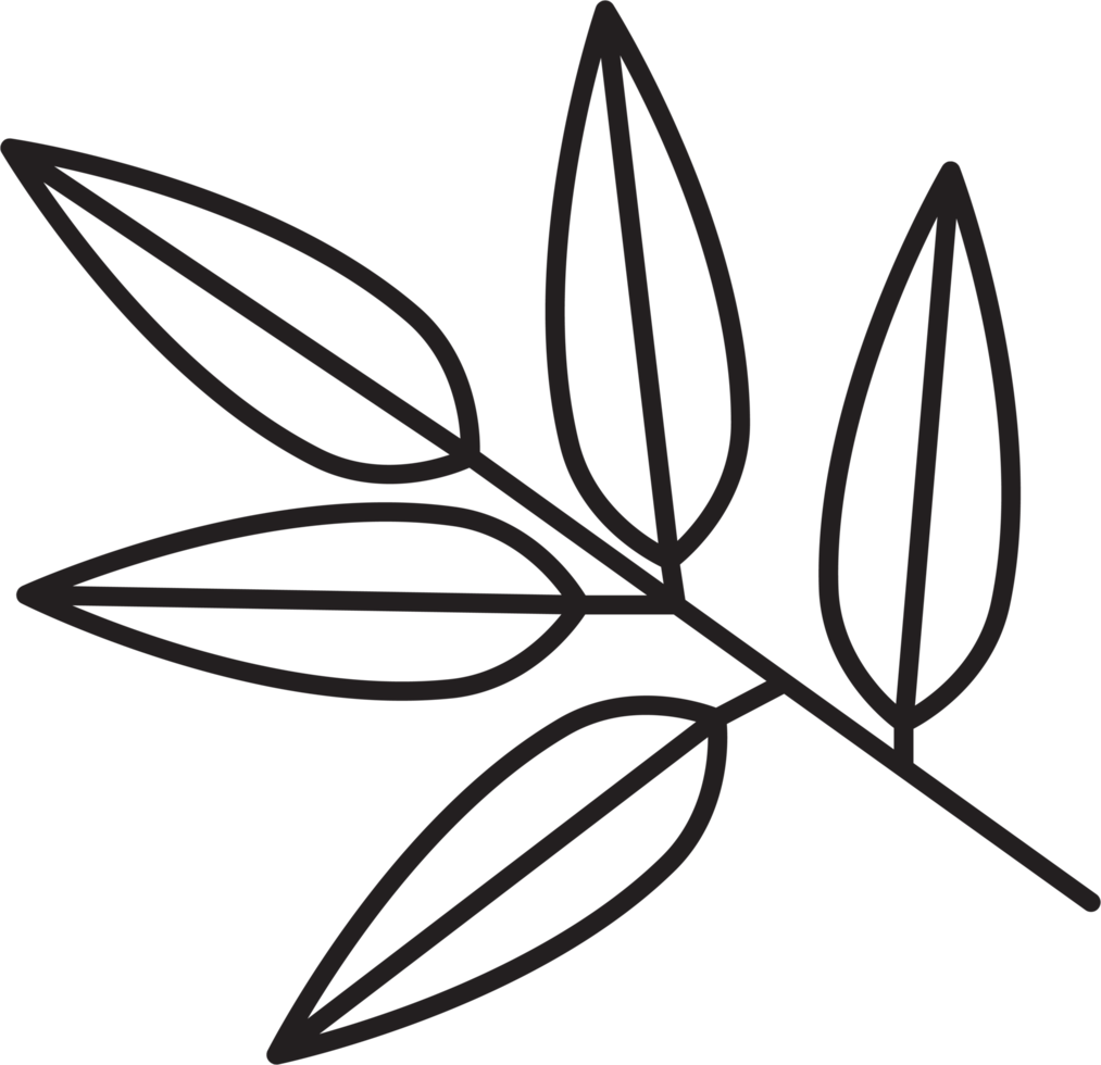 simplicity floral leaf drawing png