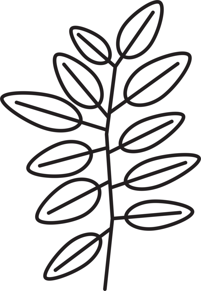 eenvoud bloemen blad tekening png