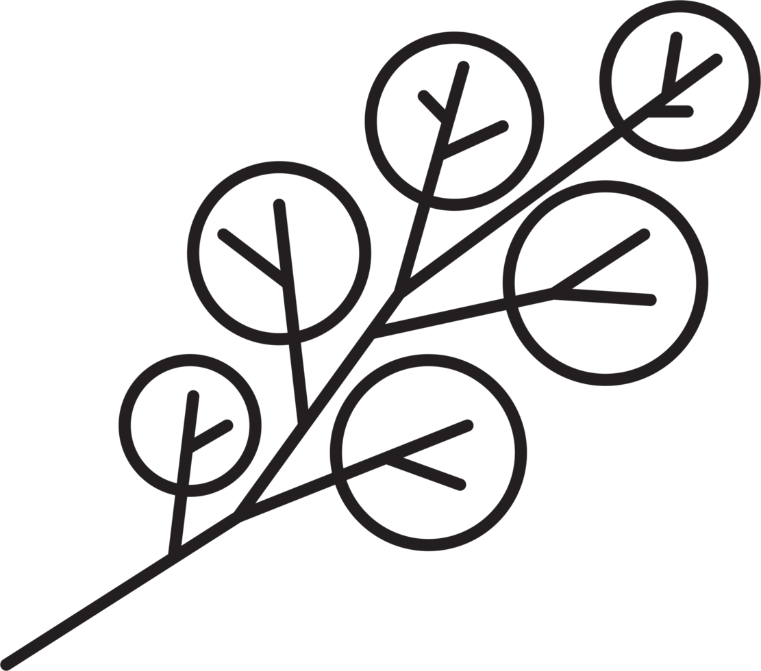 simplicity floral leaf drawing png