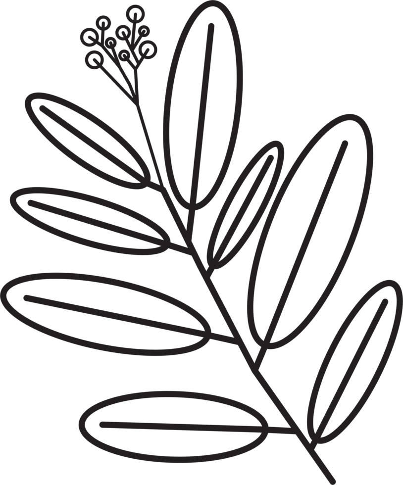 desenho de folha floral simplicidade png