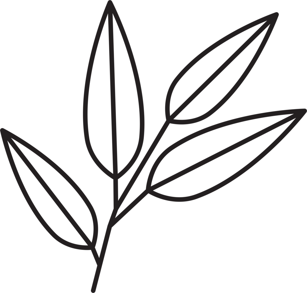 simplicity floral leaf drawing png
