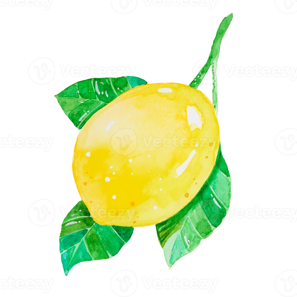 Watercolor lemon fruit png