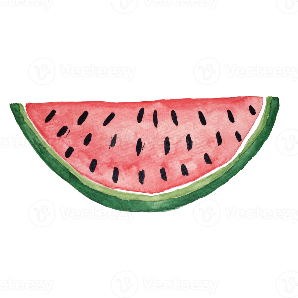 vattenfärg halv vattenmelon png