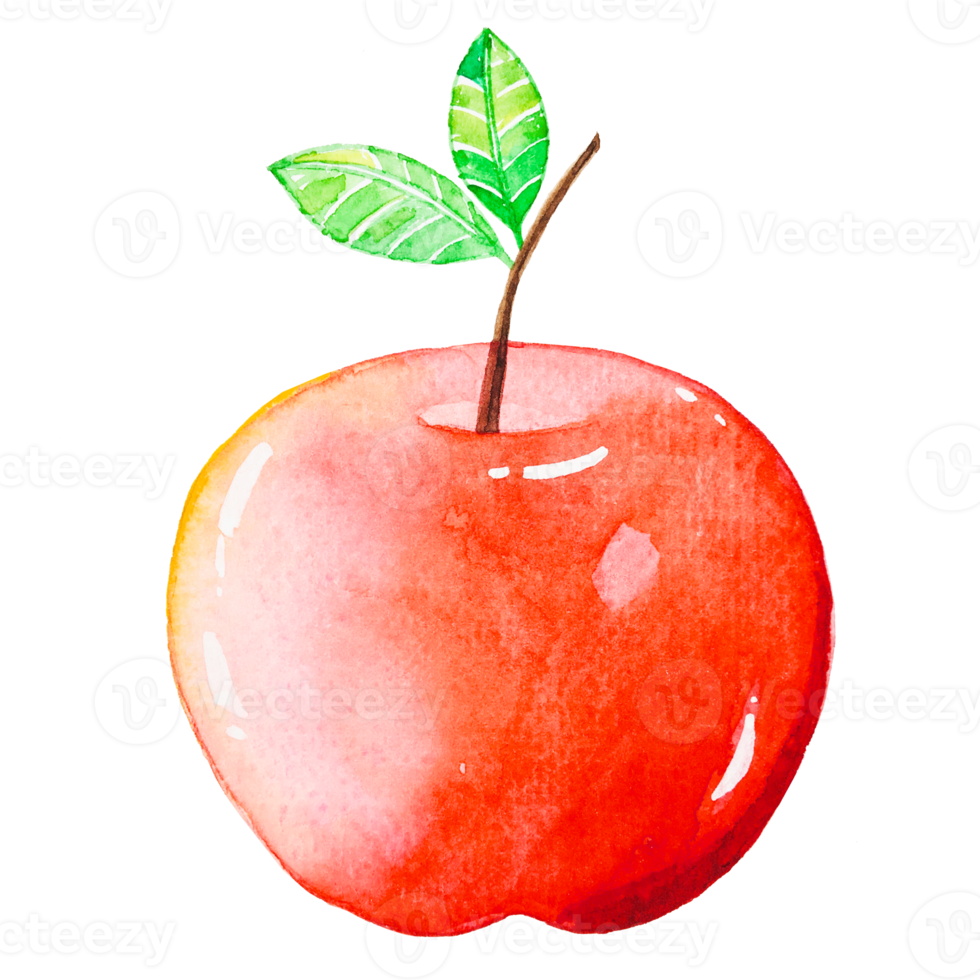 Watercolor red apple fruit png