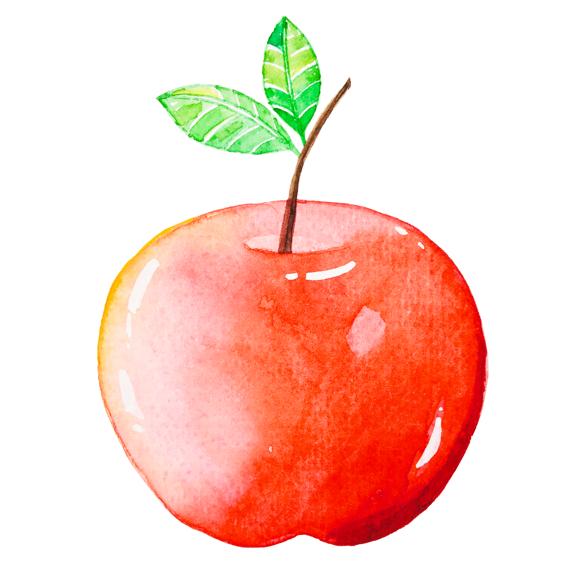Free Watercolor red apple fruit 13392194 PNG with Transparent Background Free Watercolor red apple fruit 13392194 PNG with Transparent Background