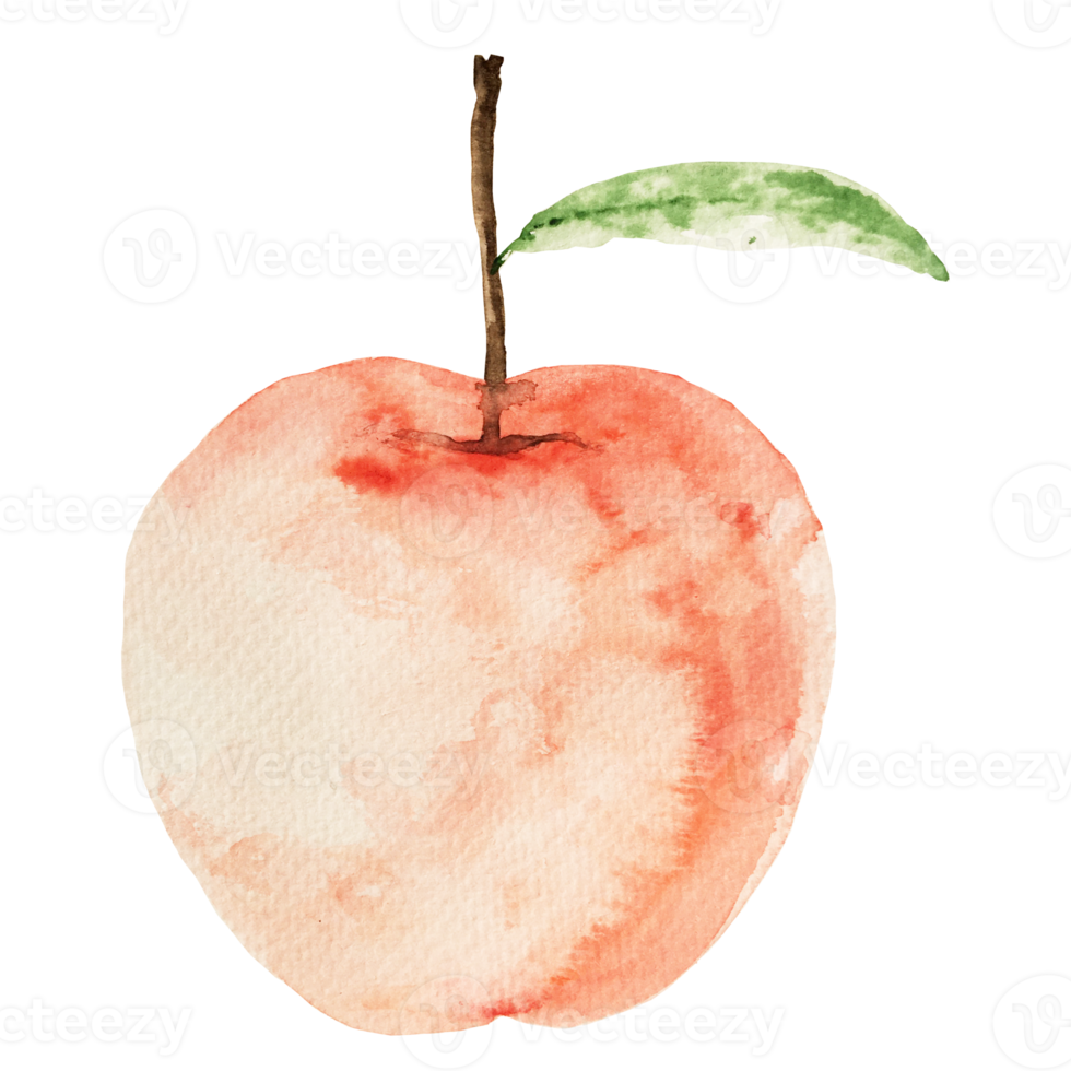 Watercolor red apple fruit png