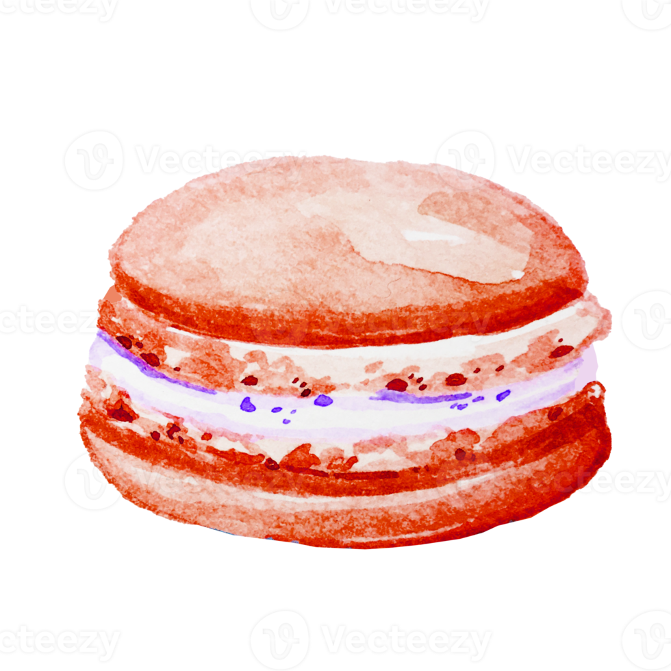 illustrazione di gustoso colorato francese macaron, png