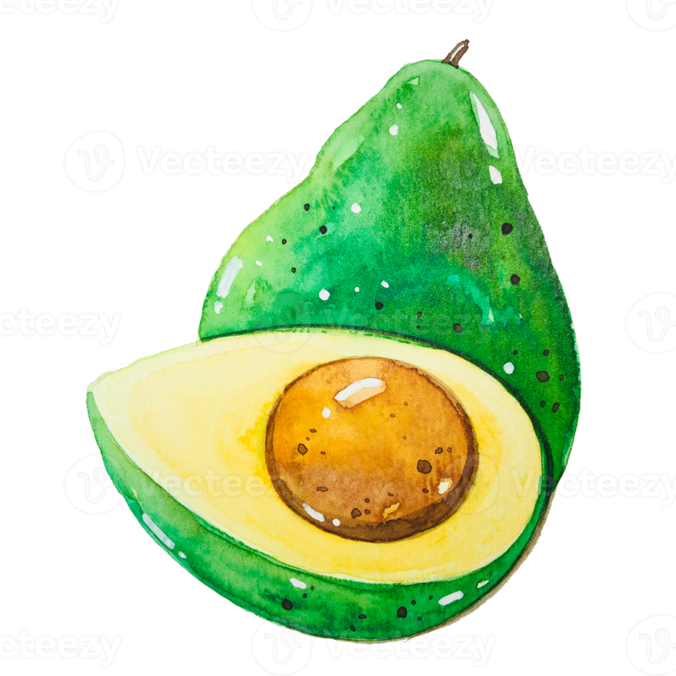 Watercolor avocado fruit png