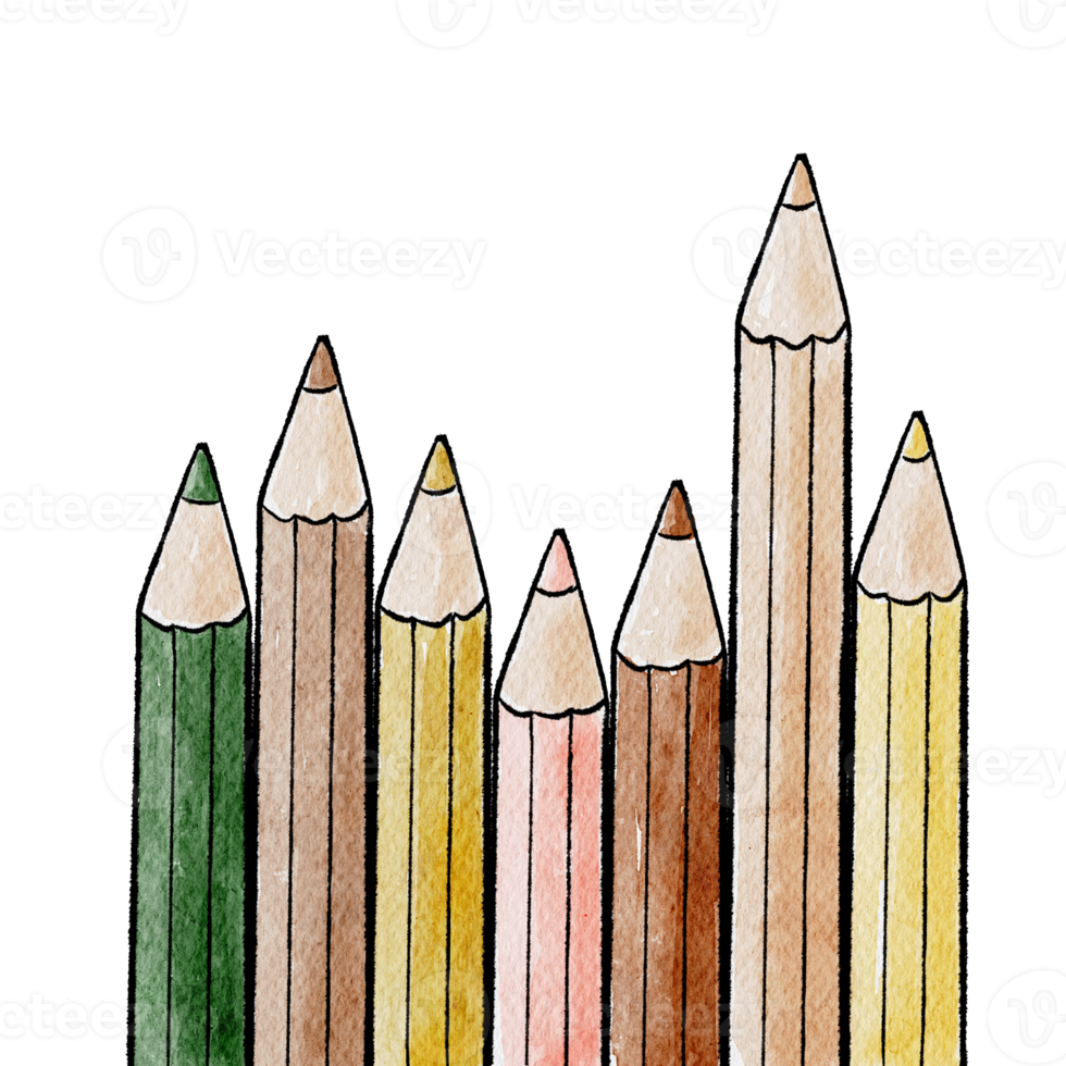 watercolor illustration pencil school supplies png