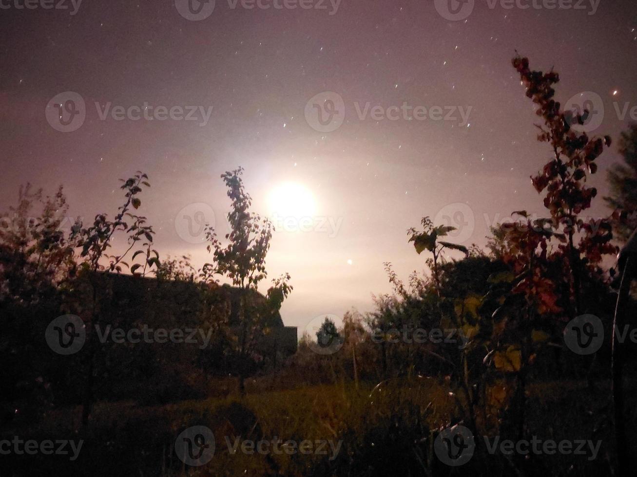 Bright night starry sky in the village photo