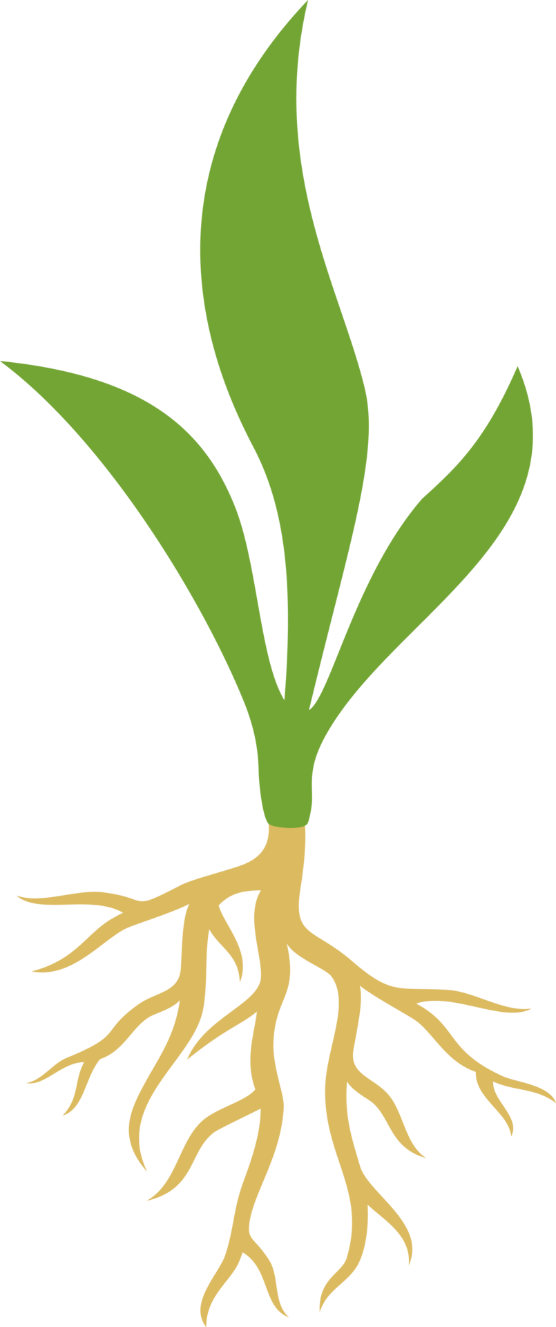 50+ Zierpflanze Png, Lade statische und animierte zierpflanze