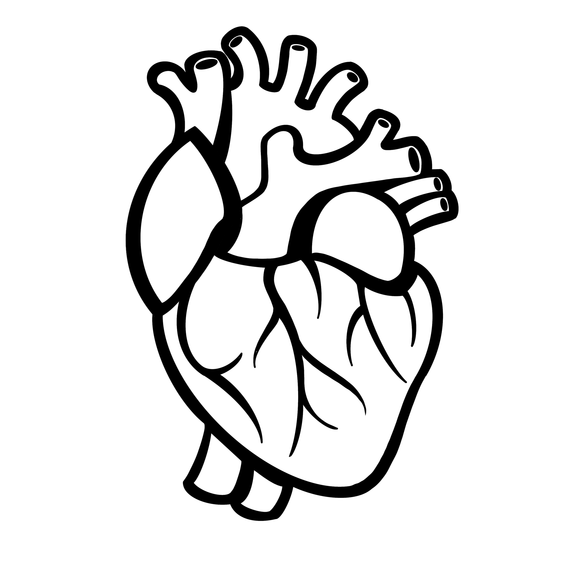 Free dibujo del corazón humano 13394300 PNG with Transparent Background Free dibujo del corazón humano 13394300 PNG with Transparent Background