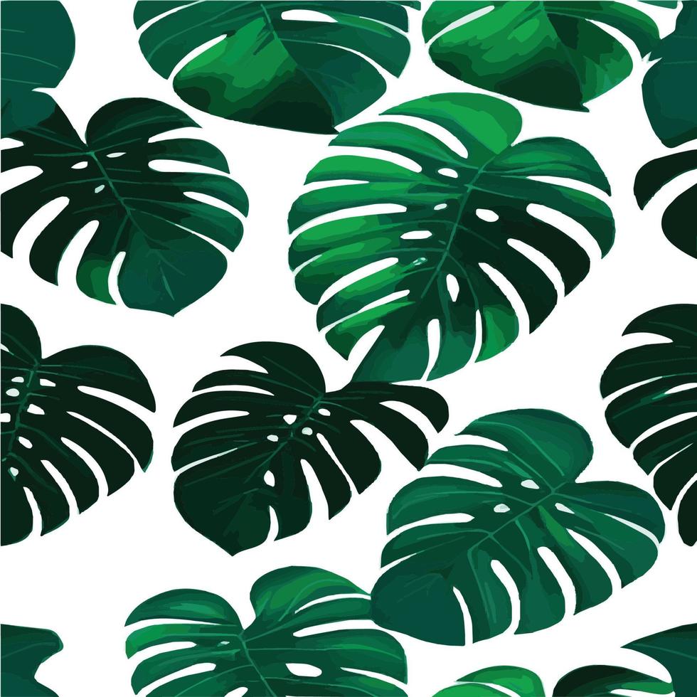 patrón de monstera verde fondo blanco. patrón exótico con hojas tropicales. ilustración vectorial patrón de hoja de monstera. hojas de palmeras tropicales. tela de diseño exótico, estampado textil, papel de regalo vector