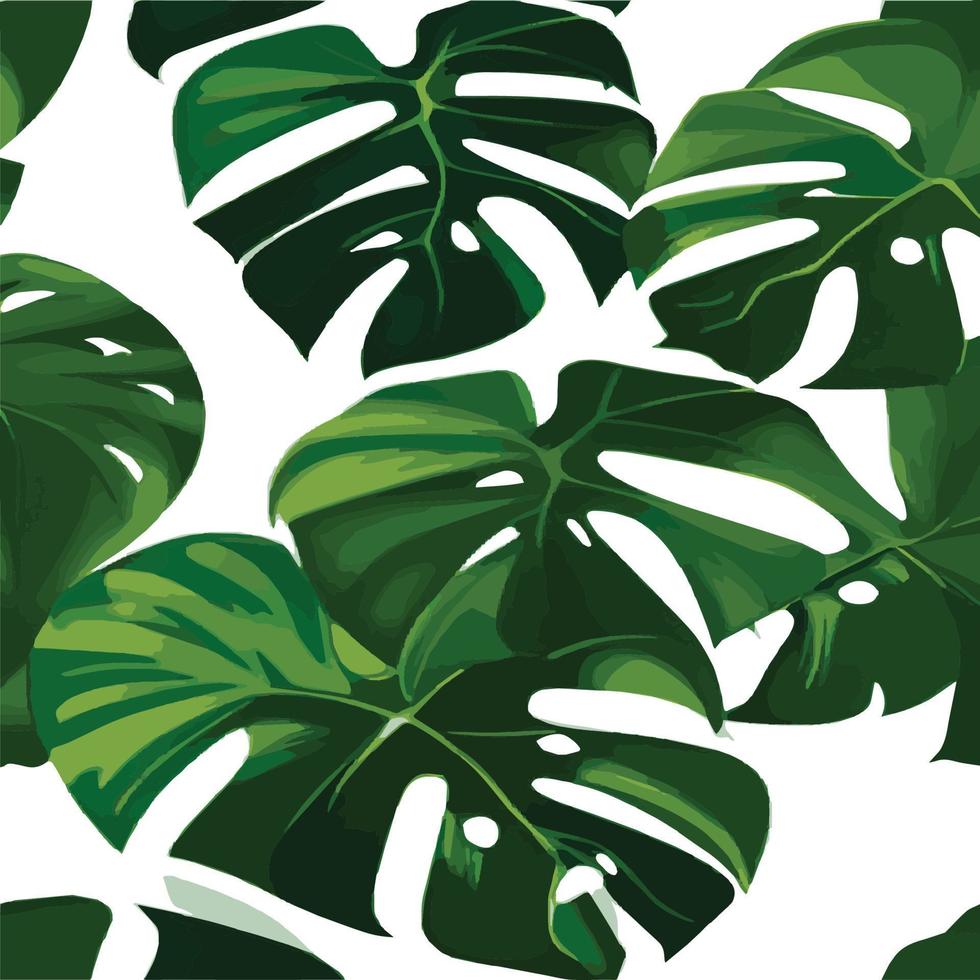 patrón de monstera verde fondo blanco. patrón exótico con hojas tropicales. ilustración vectorial patrón de hoja de monstera. hojas de palmeras tropicales. tela de diseño exótico, estampado textil, papel de regalo vector