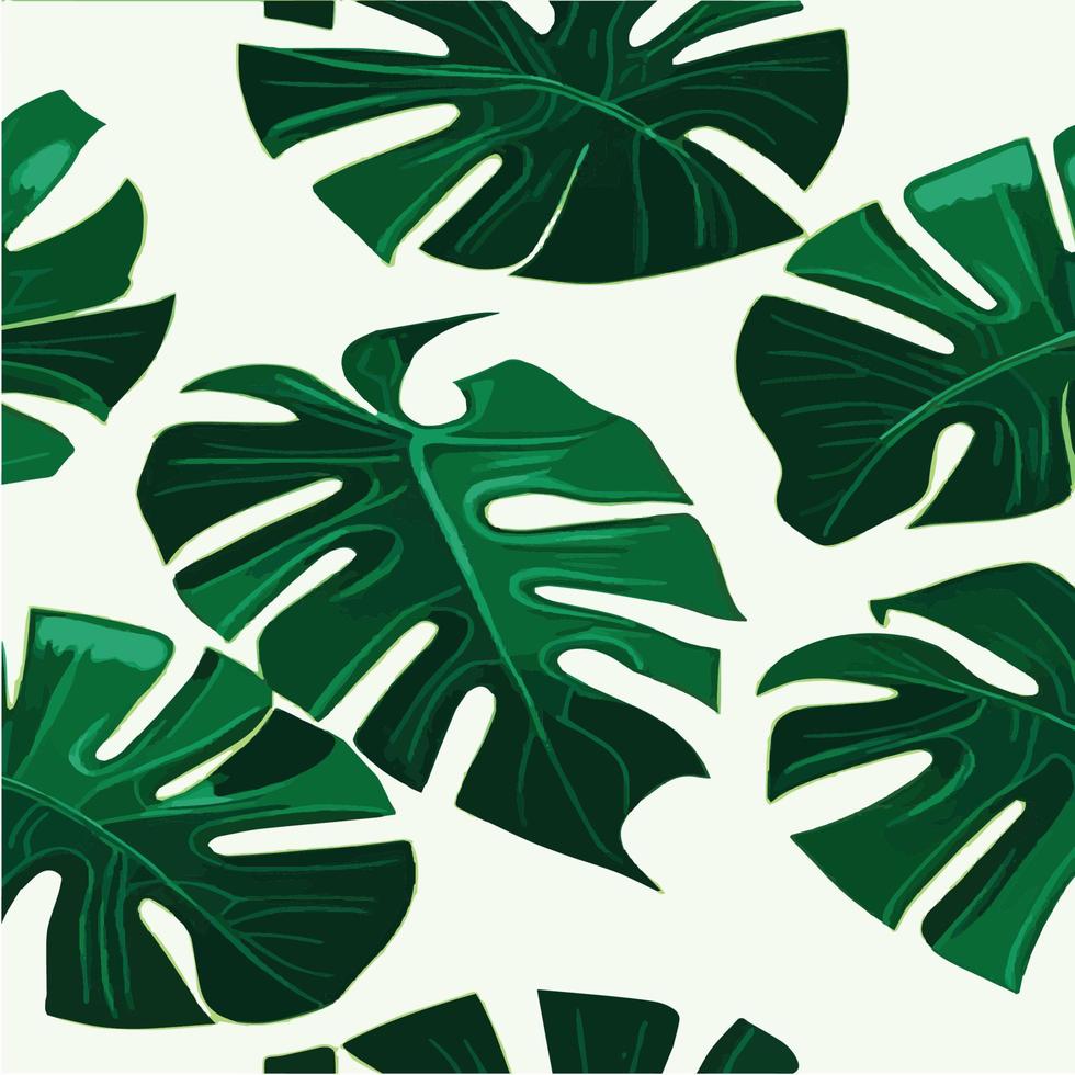 patrón de monstera verde fondo blanco. patrón exótico con hojas tropicales. ilustración vectorial patrón de hoja de monstera. hojas de palmeras tropicales. tela de diseño exótico, estampado textil, papel de regalo vector