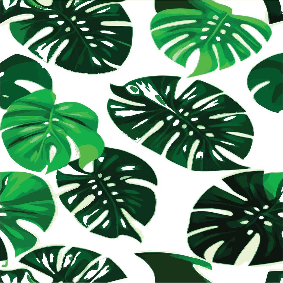 green monstera pattern white background. exotic pattern with tropical leaves. Vector illustration. monstera leaf pattern. Tropical palm leaves. Exotic design fabric, textile print, wrapping paper