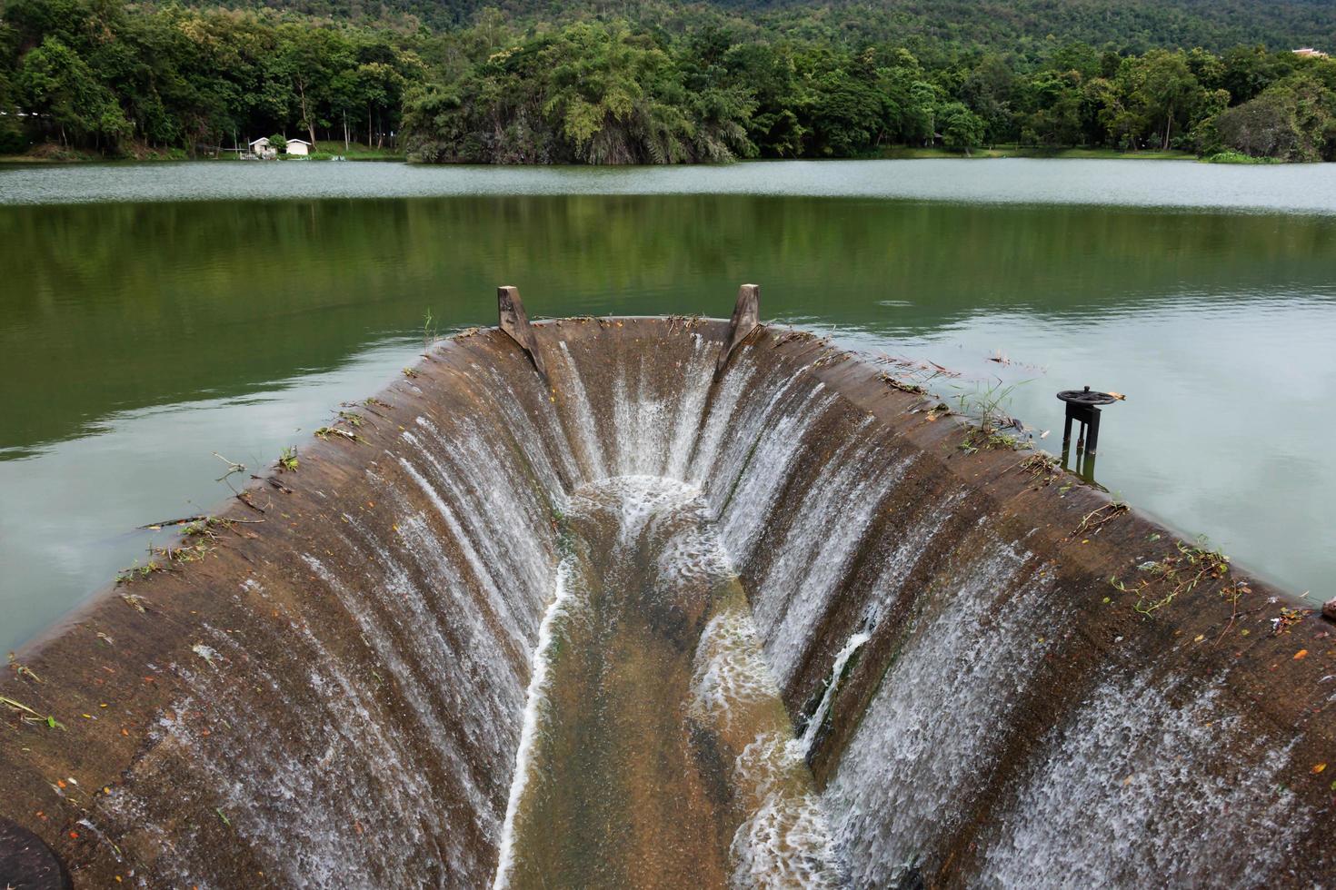 running water in forest reservior photo