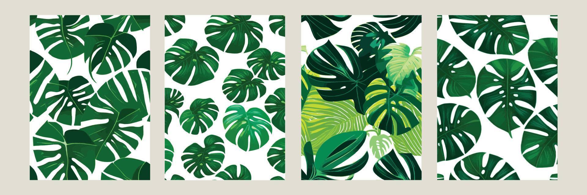 green monstera as a pattern on a white background. exotic pattern with tropical leaves. Vector illustration. set of square posters