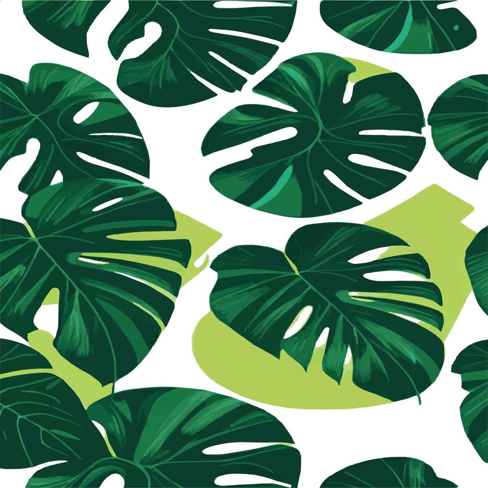 patrón de monstera verde fondo blanco. patrón exótico con hojas tropicales. ilustración vectorial patrón de hoja de monstera. hojas de palmeras tropicales. tela de diseño exótico, estampado textil, papel de regalo vector