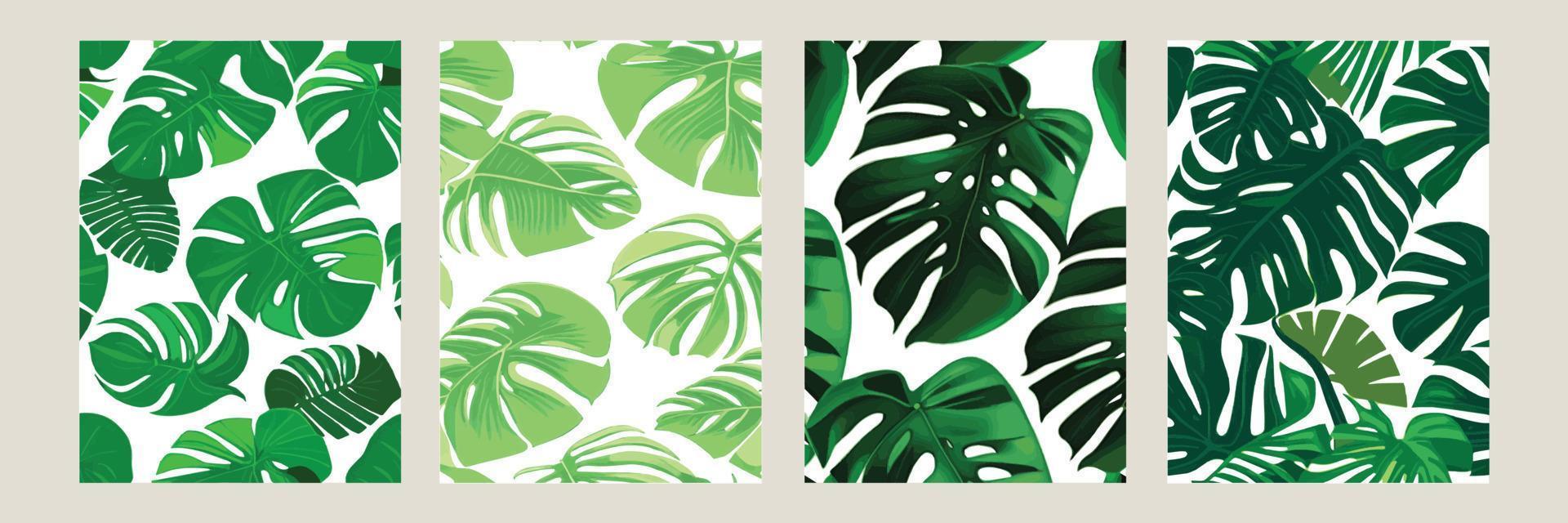 green monstera as a pattern on a white background. exotic pattern with tropical leaves. Vector illustration. set of square posters