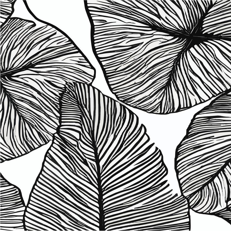 Exotic leaves seamless pattern in black and white. Stylish abstract vector decorative background. Tropical palm leaves, jungle leaf seamless vector floral pattern. Grunge tropical style wallpaper.