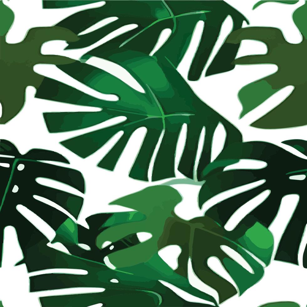 patrón de monstera verde fondo blanco. patrón exótico con hojas tropicales. ilustración vectorial patrón de hoja de monstera. hojas de palmeras tropicales. tela de diseño exótico, estampado textil, papel de regalo vector