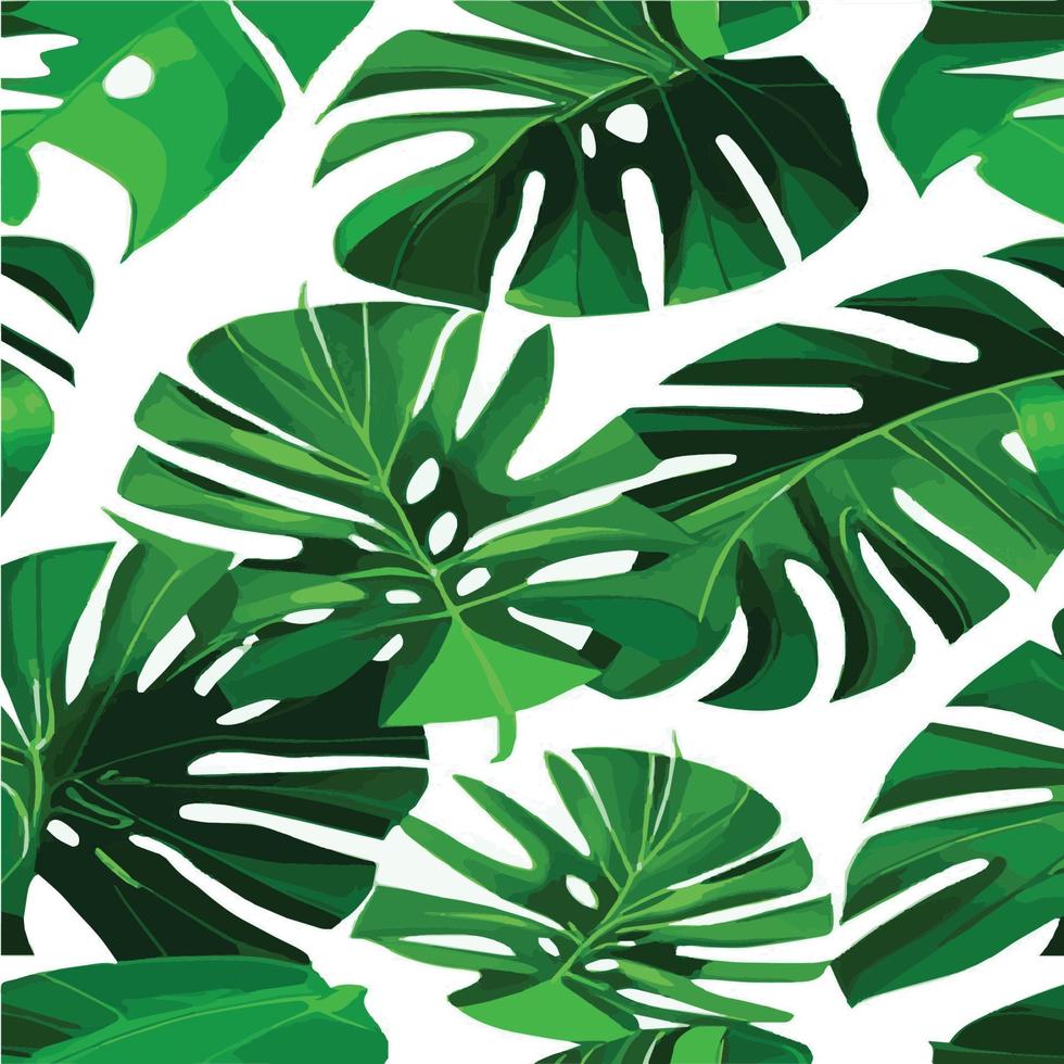 patrón de monstera verde fondo blanco. patrón exótico con hojas tropicales. ilustración vectorial patrón de hoja de monstera. hojas de palmeras tropicales. tela de diseño exótico, estampado textil, papel de regalo vector