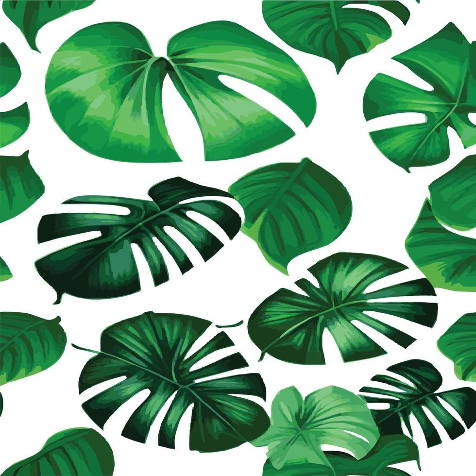 green monstera pattern white background. exotic pattern with tropical leaves. Vector illustration. monstera leaf pattern. Tropical palm leaves. Exotic design fabric, textile print, wrapping paper