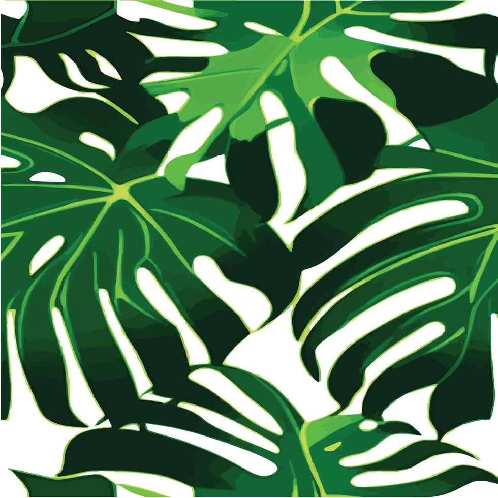 patrón de monstera verde fondo blanco. patrón exótico con hojas tropicales. ilustración vectorial patrón de hoja de monstera. hojas de palmeras tropicales. tela de diseño exótico, estampado textil, papel de regalo vector