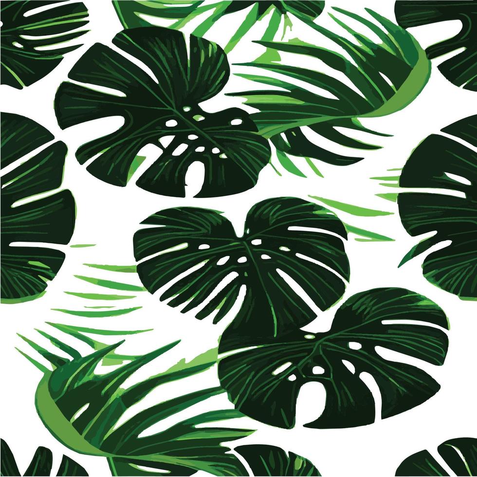 patrón de monstera verde fondo blanco. patrón exótico con hojas tropicales. ilustración vectorial patrón de hoja de monstera. hojas de palmeras tropicales. tela de diseño exótico, estampado textil, papel de regalo vector