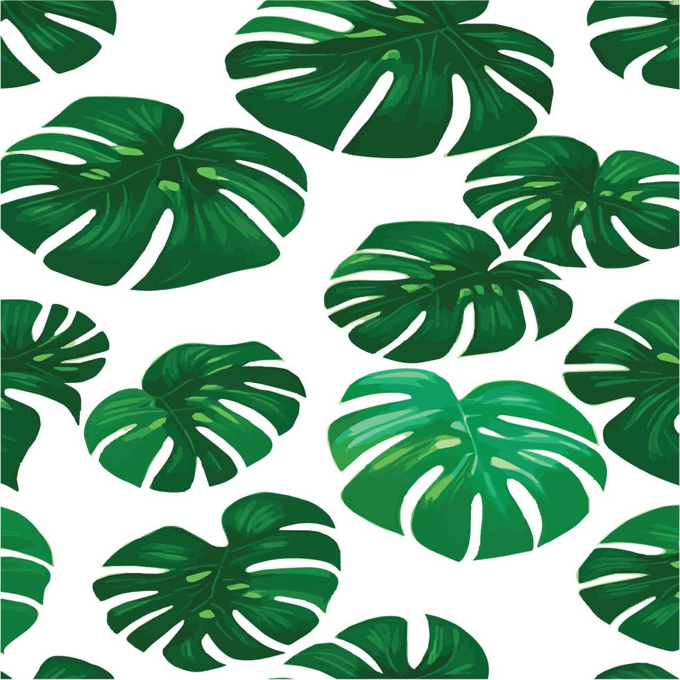 patrón de monstera verde fondo blanco. patrón exótico con hojas tropicales. ilustración vectorial patrón de hoja de monstera. hojas de palmeras tropicales. tela de diseño exótico, estampado textil, papel de regalo vector