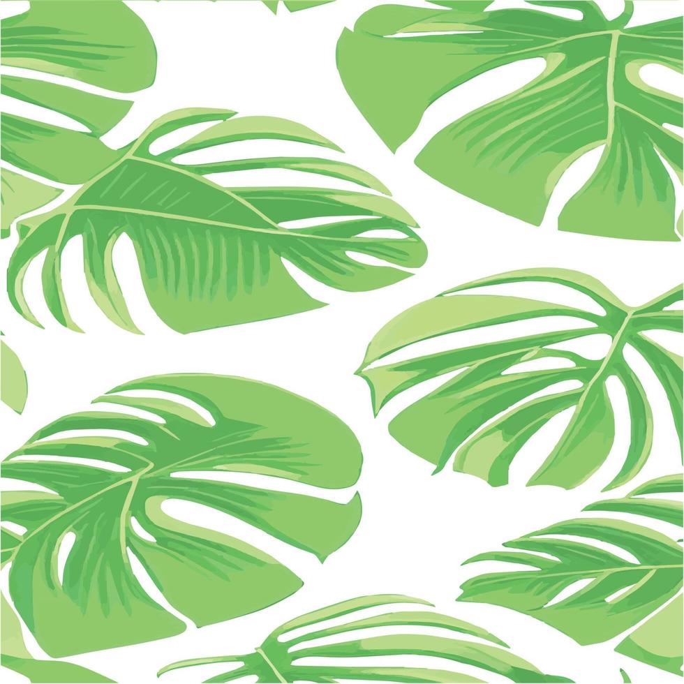 green monstera pattern white background. exotic pattern with tropical leaves. Vector illustration. monstera leaf pattern. Tropical palm leaves. Exotic design fabric, textile print, wrapping paper