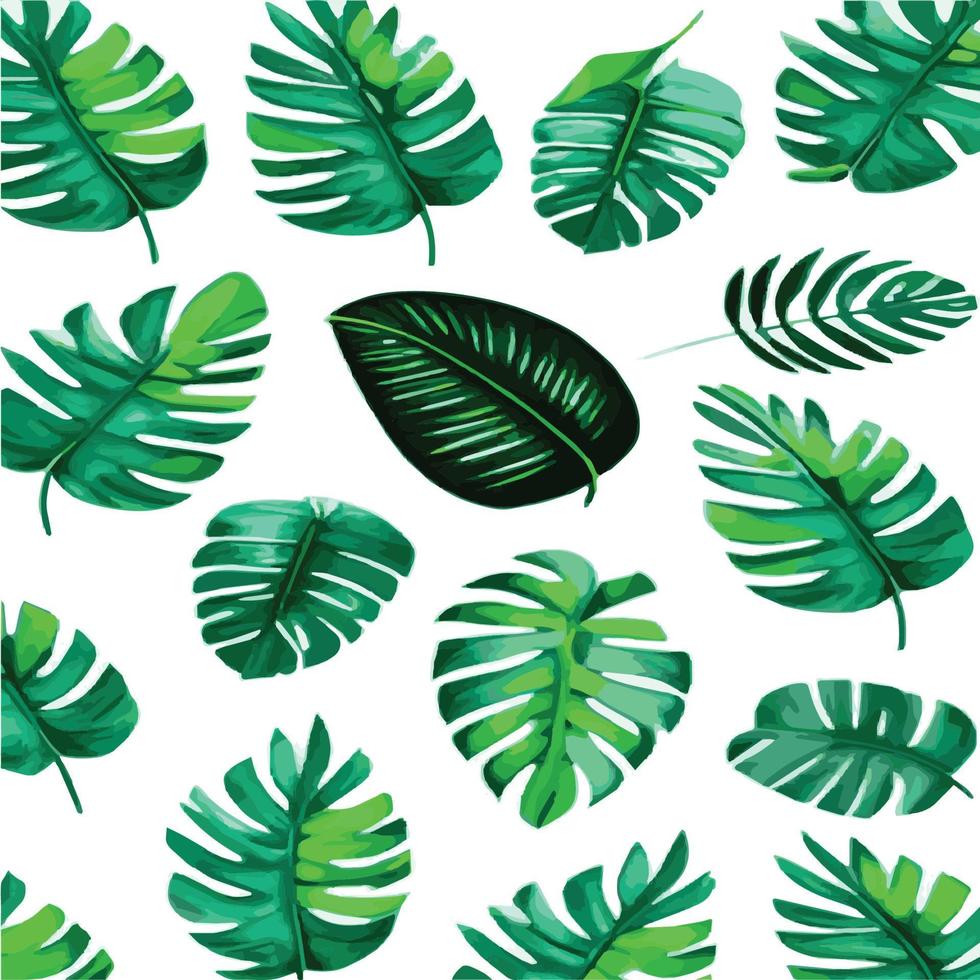 green monstera pattern white background. exotic pattern with tropical leaves. Vector illustration. monstera leaf pattern. Tropical palm leaves. Exotic design fabric, textile print, wrapping paper