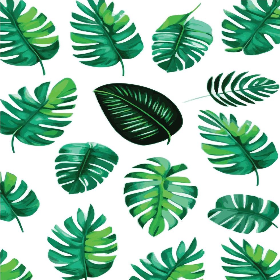 patrón de monstera verde fondo blanco. patrón exótico con hojas tropicales. ilustración vectorial patrón de hoja de monstera. hojas de palmeras tropicales. tela de diseño exótico, estampado textil, papel de regalo vector