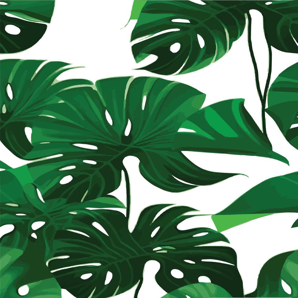 green monstera pattern white background. exotic pattern with tropical leaves. Vector illustration. monstera leaf pattern. Tropical palm leaves. Exotic design fabric, textile print, wrapping paper