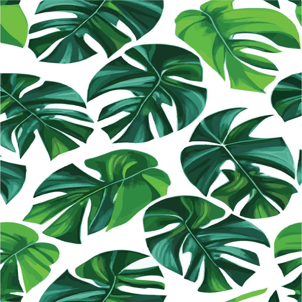 patrón de monstera verde fondo blanco. patrón exótico con hojas tropicales. ilustración vectorial patrón de hoja de monstera. hojas de palmeras tropicales. tela de diseño exótico, estampado textil, papel de regalo vector