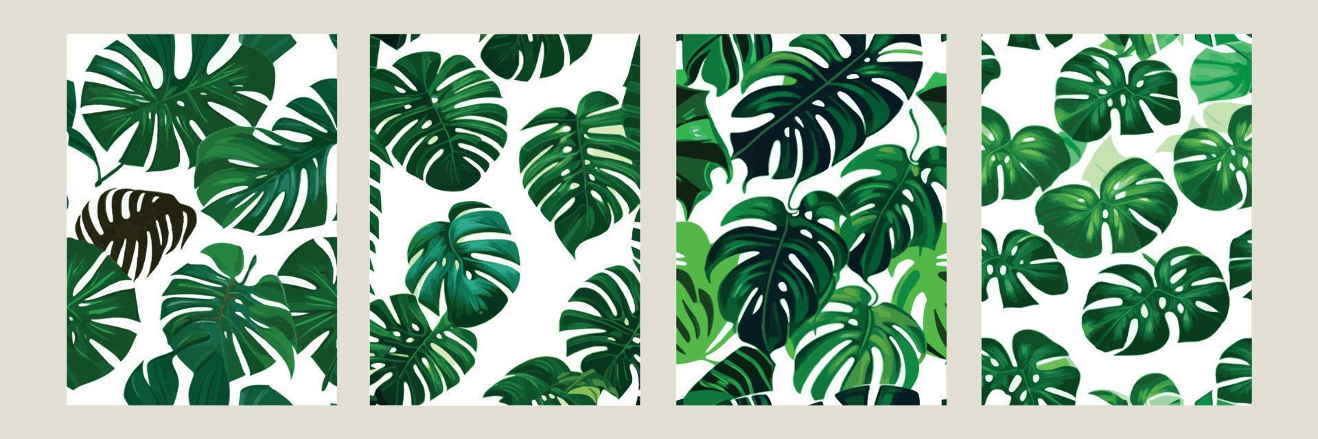 monstera verde como un patrón sobre un fondo blanco. patrón exótico con hojas tropicales. ilustración vectorial conjunto de carteles cuadrados vector