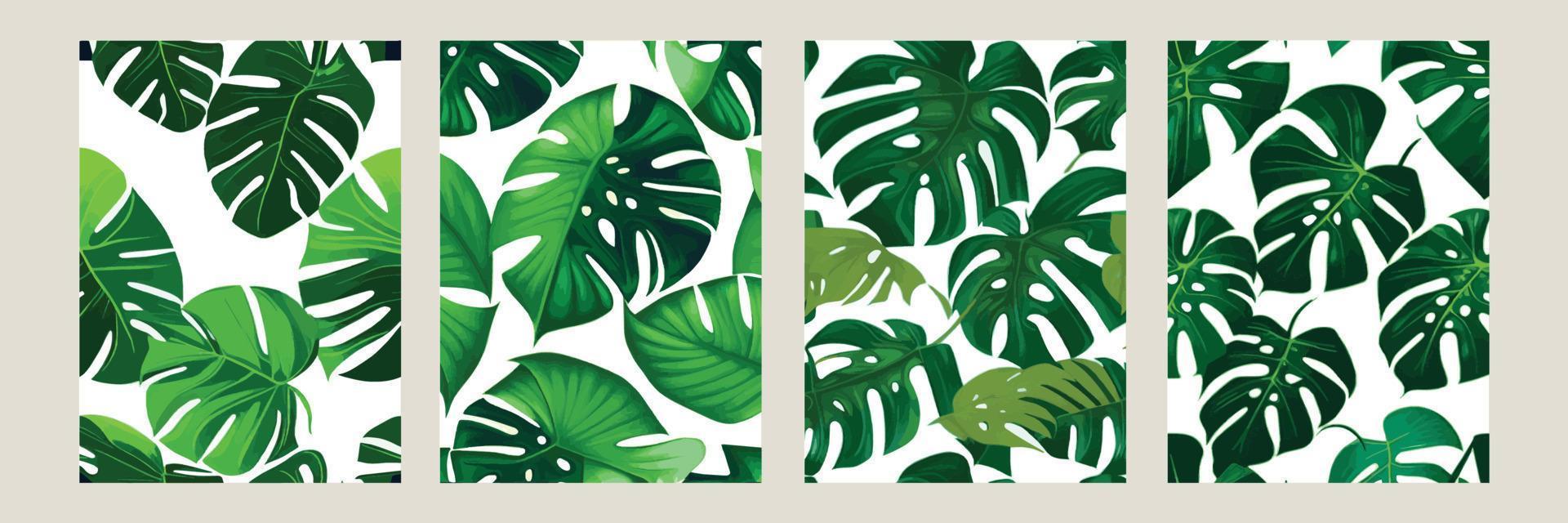 green monstera as a pattern on a white background. exotic pattern with tropical leaves. Vector illustration. set of square posters