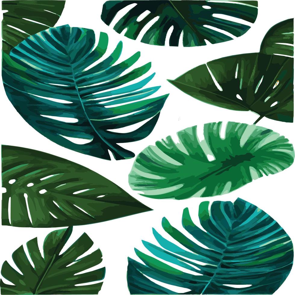 green monstera pattern white background. exotic pattern with tropical leaves. Vector illustration. monstera leaf pattern. Tropical palm leaves. Exotic design fabric, textile print, wrapping paper