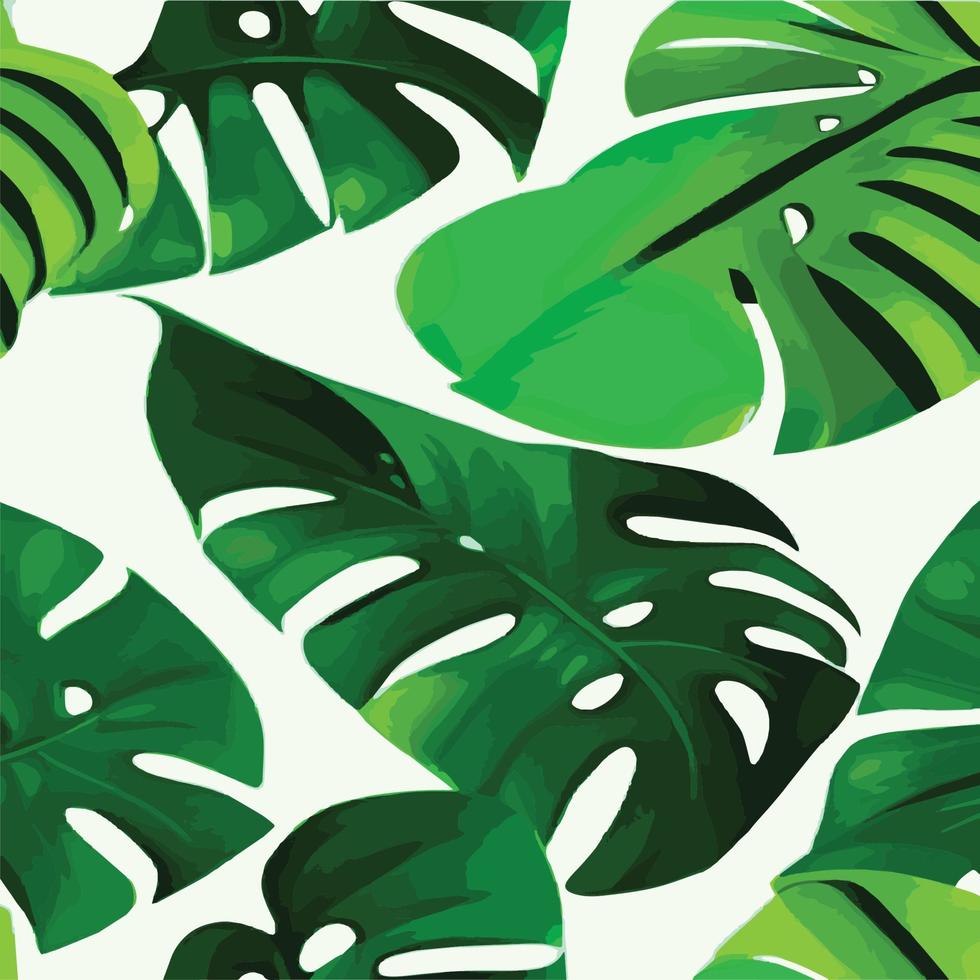 patrón de monstera verde fondo blanco. patrón exótico con hojas tropicales. ilustración vectorial patrón de hoja de monstera. hojas de palmeras tropicales. tela de diseño exótico, estampado textil, papel de regalo vector