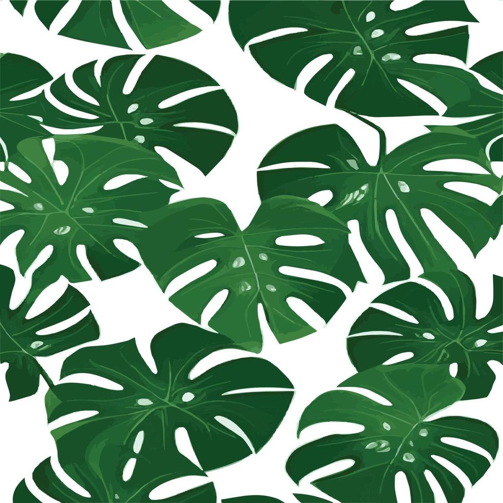 green monstera pattern white background. exotic pattern with tropical leaves. Vector illustration. monstera leaf pattern. Tropical palm leaves. Exotic design fabric, textile print, wrapping paper