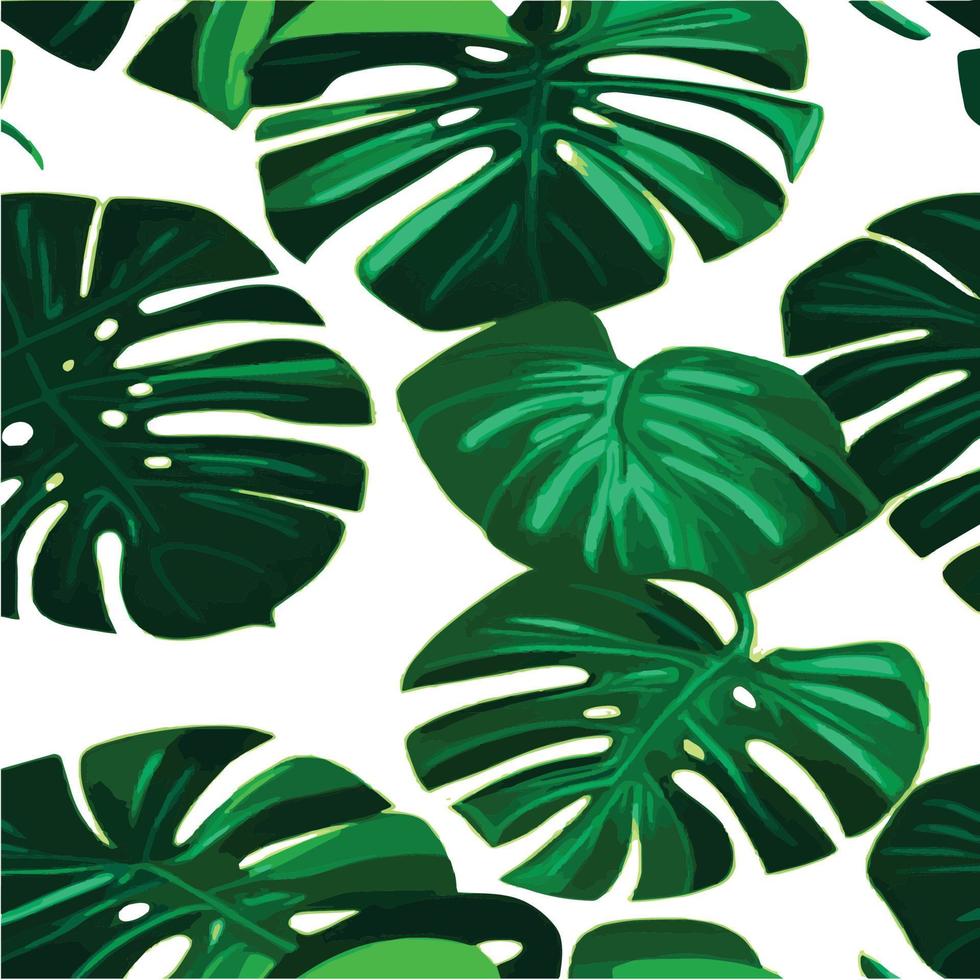 patrón de monstera verde fondo blanco. patrón exótico con hojas tropicales. ilustración vectorial patrón de hoja de monstera. hojas de palmeras tropicales. tela de diseño exótico, estampado textil, papel de regalo vector