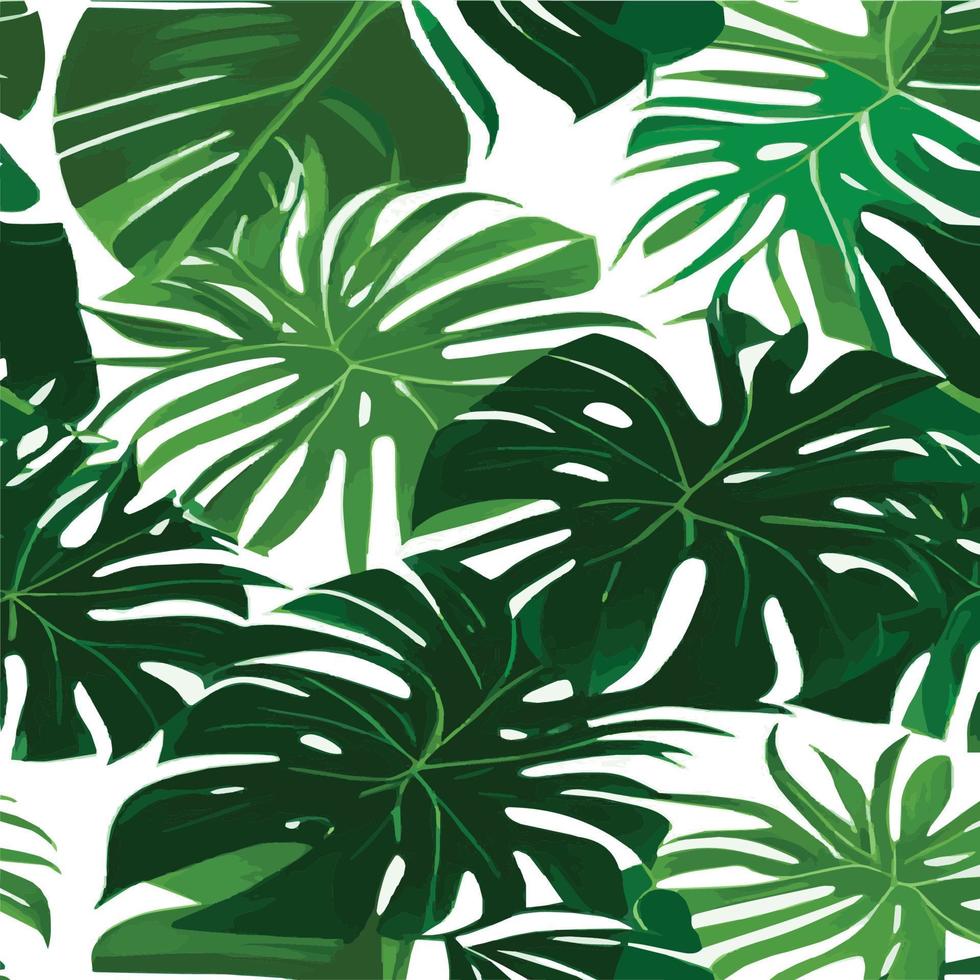 patrón de monstera verde fondo blanco. patrón exótico con hojas tropicales. ilustración vectorial patrón de hoja de monstera. hojas de palmeras tropicales. tela de diseño exótico, estampado textil, papel de regalo vector