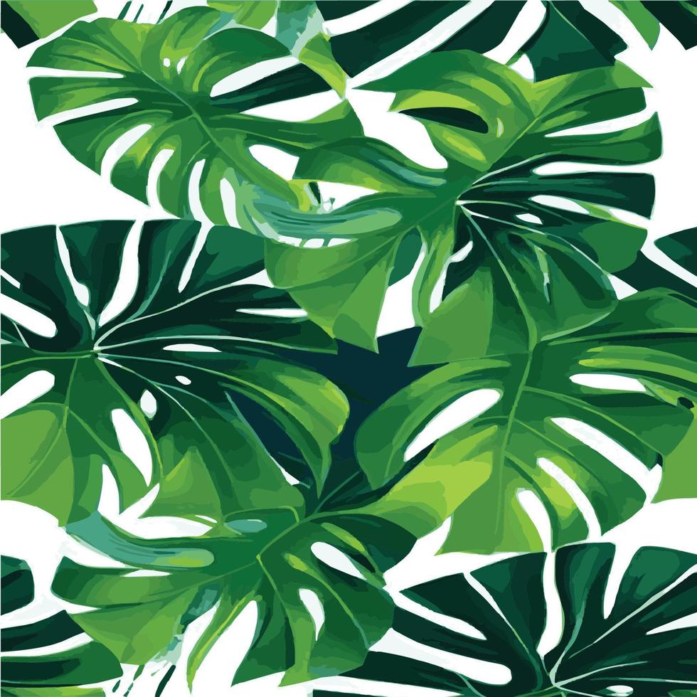 patrón de monstera verde fondo blanco. patrón exótico con hojas tropicales. ilustración vectorial patrón de hoja de monstera. hojas de palmeras tropicales. tela de diseño exótico, estampado textil, papel de regalo vector