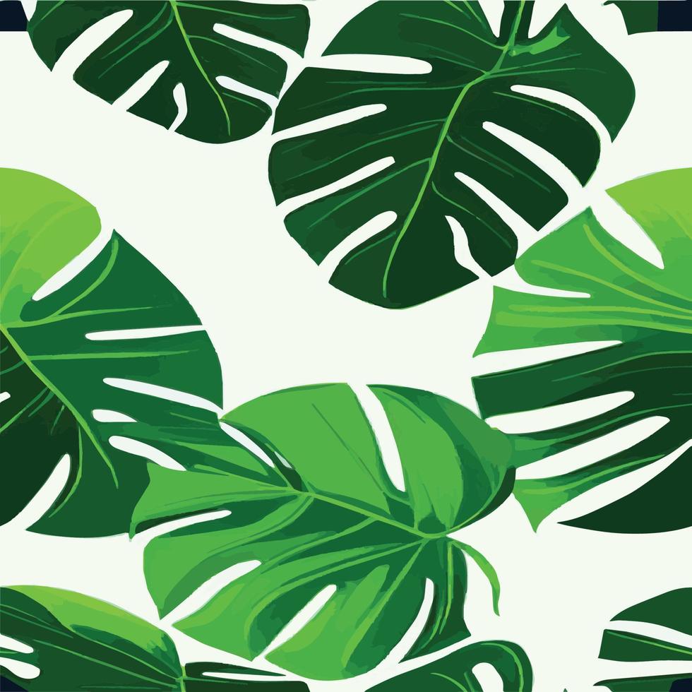 patrón de monstera verde fondo blanco. patrón exótico con hojas tropicales. ilustración vectorial patrón de hoja de monstera. hojas de palmeras tropicales. tela de diseño exótico, estampado textil, papel de regalo vector