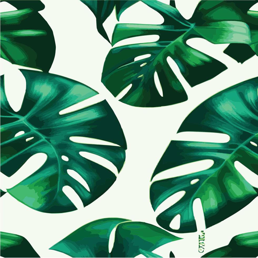 green monstera pattern white background. exotic pattern with tropical leaves. Vector illustration. monstera leaf pattern. Tropical palm leaves. Exotic design fabric, textile print, wrapping paper